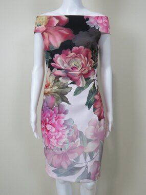 Ted Baker London SIZE 2 (US 4/6) EMLY PAINTED POSIE Dress, Lined, Back Zip
